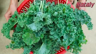 You will love this vegetable because it is delicious and has many health benefits