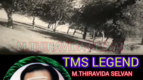 தேச பக்தியுள்ள அய்யா நீங்க . வெற்றி வீரன் 1956 M.thiravida Selvan Singapore Tms Fans