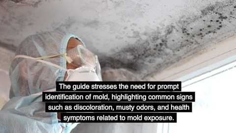 Mold Remediation?: 5 Steps to a Mold-Free Home