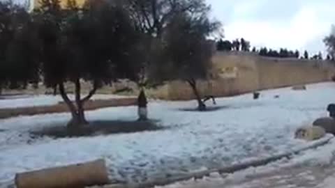 Muslims Throwing Snowballs at Jews on Temple Mount - Jews Angle