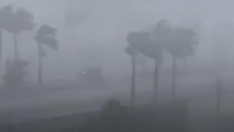 Severe flooding in Florida forces evacuations, closes airport | Al Jazeera Newsfeed