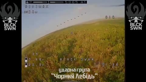 Air confrontation between the hostile Mavic and the special forces "Black Swan"