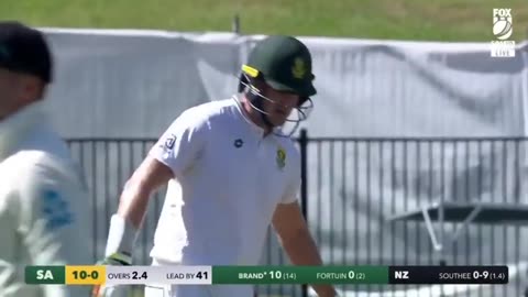 NZ vs SA 2nd Test 2024 -Day 3 Highlights