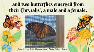 Janet Sayre Butterfly Nursery at the Perry Branch, 2022 Sep 29