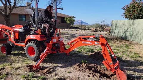 Georgette learning to dig.