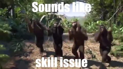 Skill issue