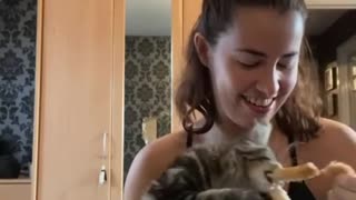 Hungry Cat grabs Pizza