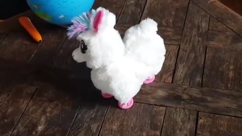 Cute lama dance