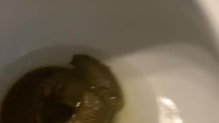 Toilet Titan 🚽
