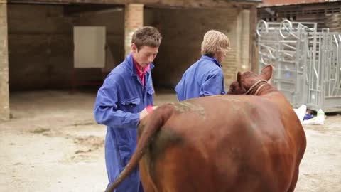 Hannah - Animal Sciences Level 3 at Shuttleworth College