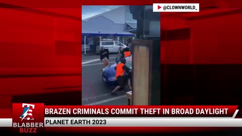 Brazen Criminals Commit THEFT In Broad Daylight