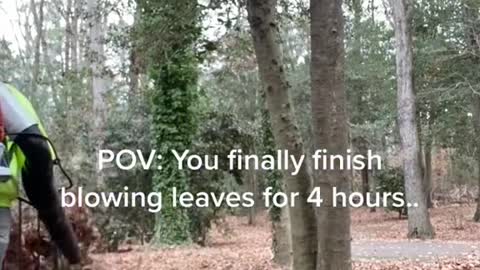 POV: You finally finish blowing leaves for 4 hours..
