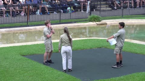 Robert Irwin Has Friends _ Australia Zoo Croc Show