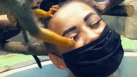 Rambunctious Monkey Snags a Few Lashes