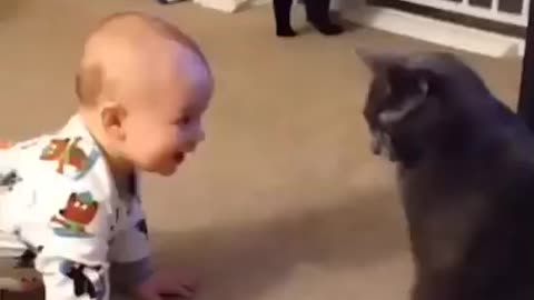 Cute baby playing with clever 🐈‍⬛ cat