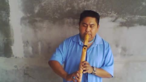 Misty Mountains Cold: (Native style flute cover)