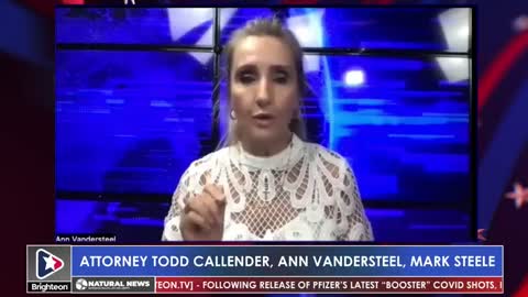 The Zelenko Report: Ann Vandersteel ft. Mark Steele & Atty Todd Callender