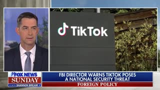 Sen. Tom Cotton talks about the danger of TikTok