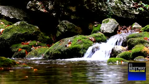 7 Minute Power Nap Alarm Wake Up Relaxing Waterfall