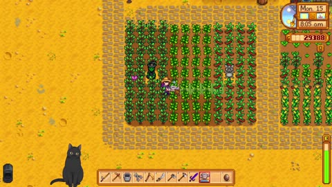 stardew vally with swamp ginger