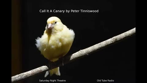 Call it a Canary by Peter Tinniswood