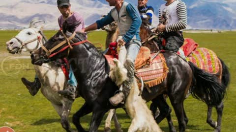 Did You Know? The BUZKASHI || RANDOM, AMAZING and INTERESTING FACTS AROUND THE WORLD