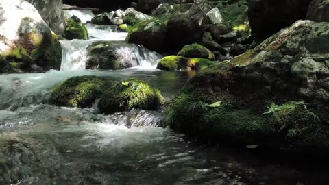 The scenery of a Japanese beautiful mountain stream!