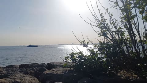 Tree leaves, the sea, passing ships, warm sunlight and relaxing music