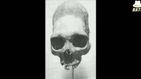 WHY THE COVER-UP OF THE ANCIENT NEPHILIM GIANTS???