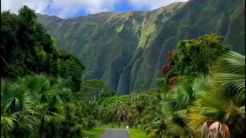 Natural Beauty Of Hawaii