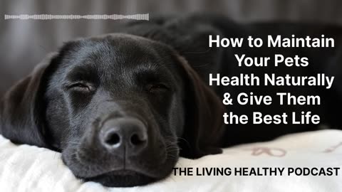 How to Maintain Your Pets Health Naturally and Give Them the Best Life