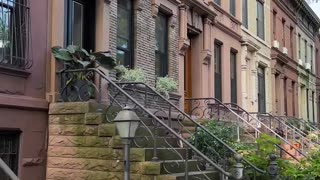 Brooklyn Gorgeous street with Brownstone✨️