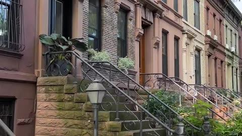 Brooklyn Gorgeous street with Brownstone✨️