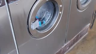 Hey, Watch My Laundry #shorts -- Episode 40