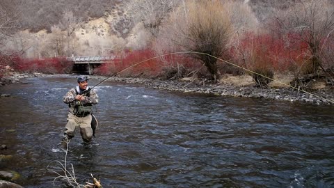 Lower Provo Fly Fishing