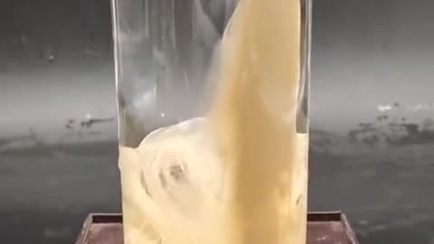 Insect secreting a protective fluid