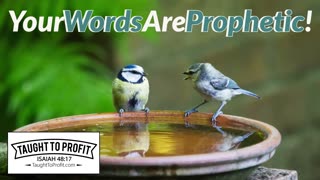 Your Words Are Prophetic - Only Speak About What You Want!