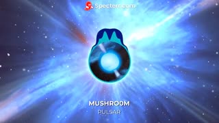 PULSAR - Mushro0m