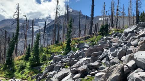 Oregon – Mount Hood – Expansive Alpine Wonderland