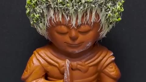 Chia pet - monkey king