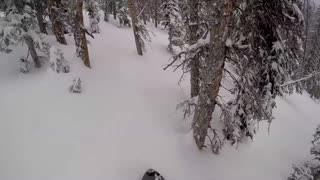 Monarch Mountain Powder Day 2019