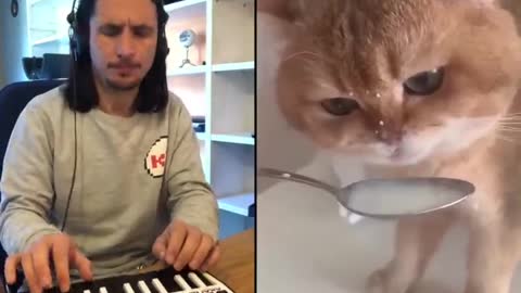 The Kiffness X NumNum Cat (Live Looping Balkan Remix)