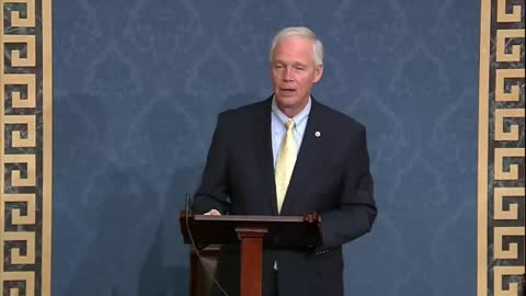 Ron Johnson Details Hunter Bidens Business Dealings