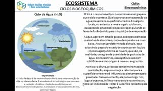 Ciclos Biogeoquímicos - MinhaEscolaWeb