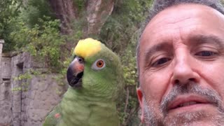 Parrot Imitates Animal Sounds