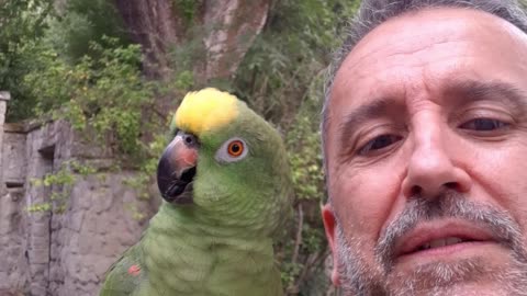 Parrot Imitates Animal Sounds