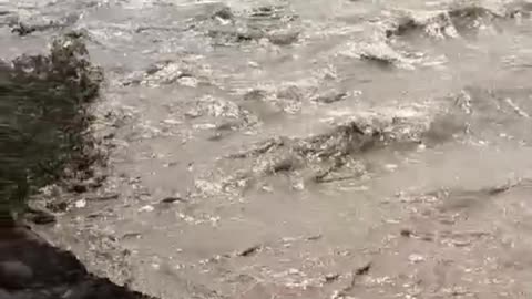 Sutlej River Flood Update
