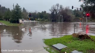Evacuation orders issued as flooding hits Santa Cruz county