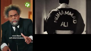 Reparations argument - Cornel West Ad (4) - green party
