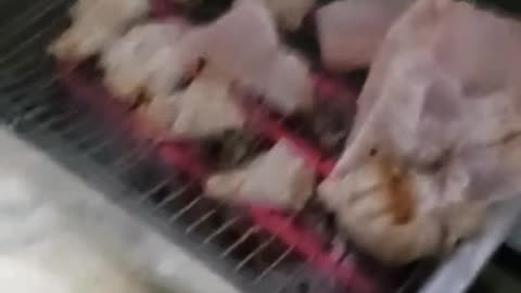 Carne de jacaré